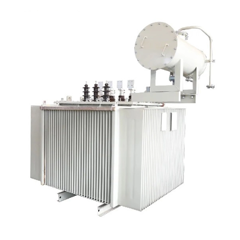 Trasfhoirmeoir Cumhachta 22kv 1000kva Ola Tumtha
